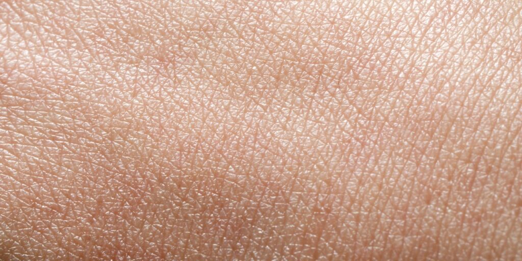 Guide d'achat : Comment choisir des cosmétiques naturels adaptés à votre type de peau