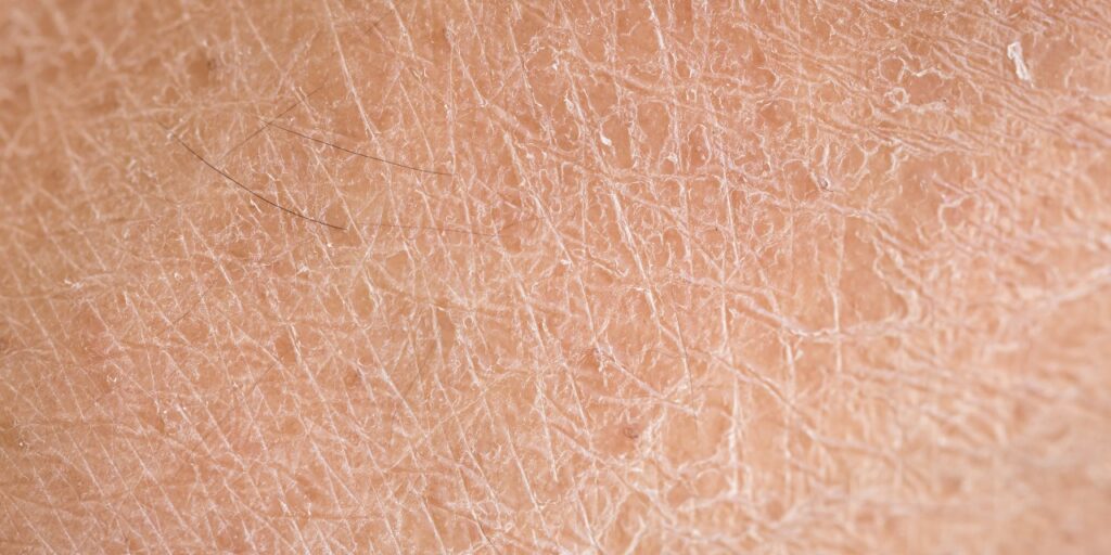 Guide d'achat : Comment choisir des cosmétiques naturels adaptés à votre type de peau