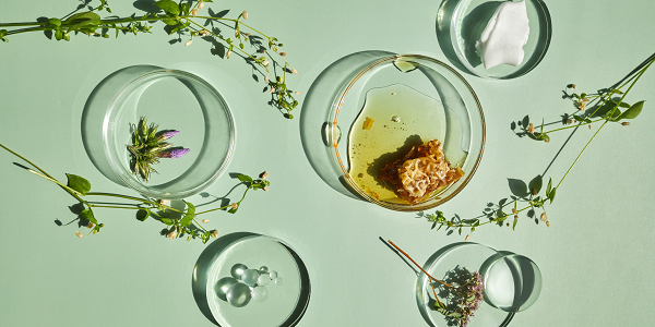 Tendances cosmétiques naturelles : Les innovations à ne pas manquer cette saison