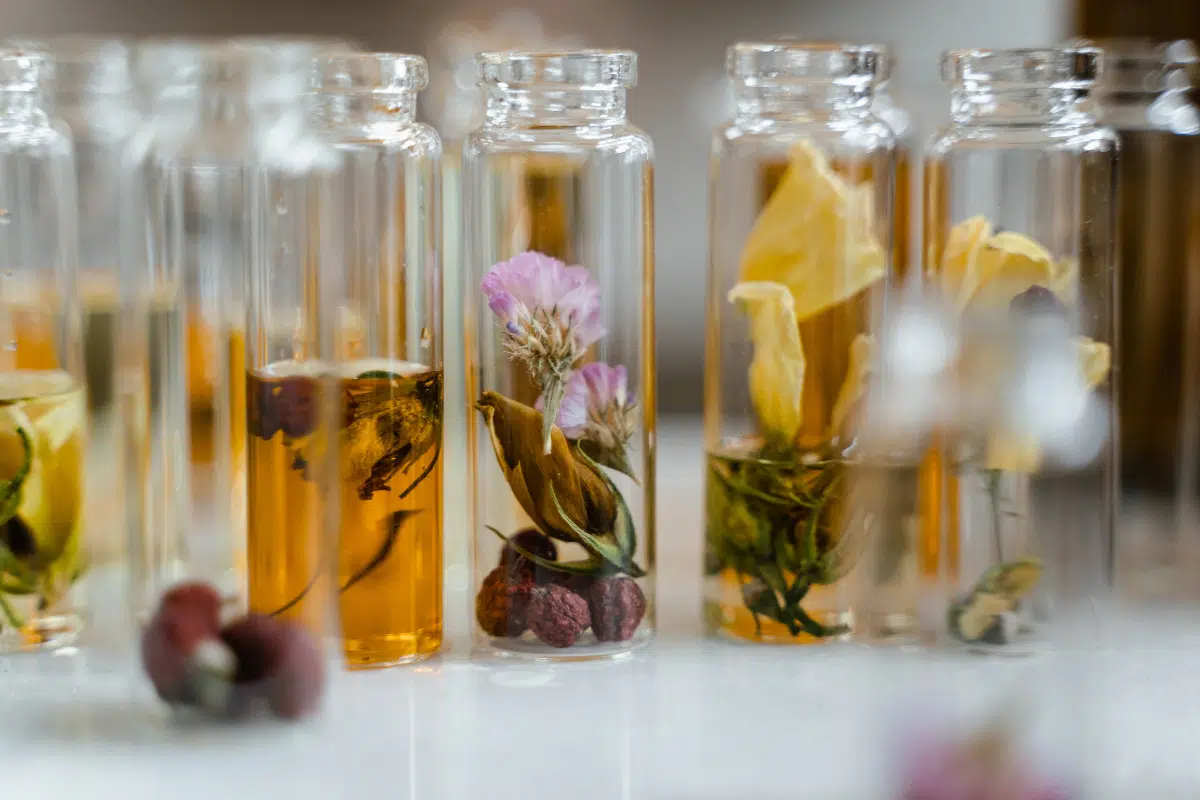 Certifications écologiques et biologiques : Ce qu'elles changent pour vos cosmétiques